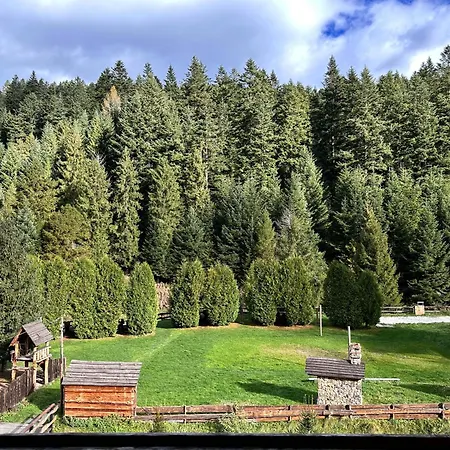 Альтана Inn *